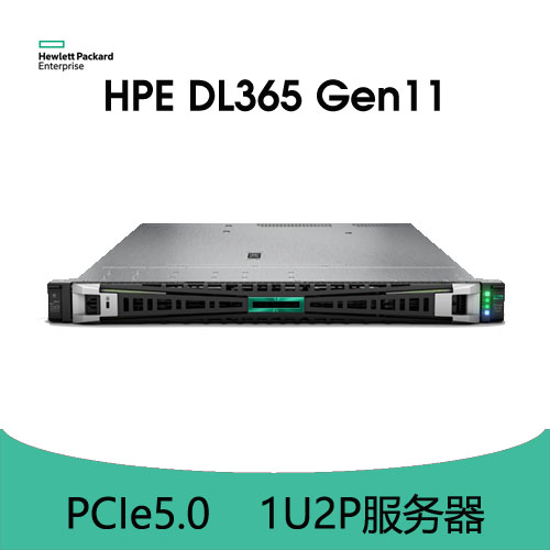 HPE ProLiant DL365 Gen11 服務(wù)器